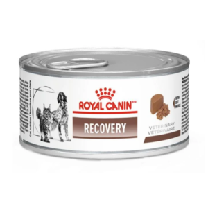 Ração Úmida Cães e Gatos Royal Canin Recovery 195g