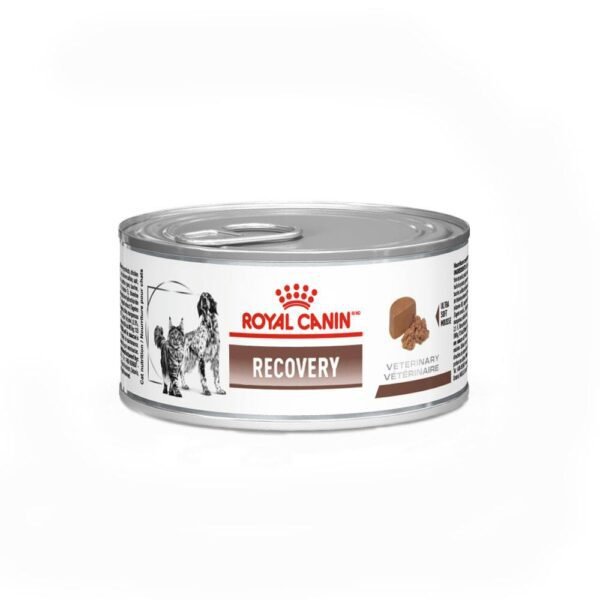 Ração Úmida Cães e Gatos Royal Canin Recovery 195g