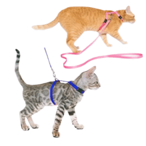 Guia e peitoral p/ Gatos Tam. Único