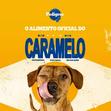 Biscoito Pedigree Biscrok para Cão Adulto Raças Grandes - Imagem 3