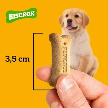 Biscoito Pedigree Biscrok para Cão Filhote Leite 300g - Imagem 7