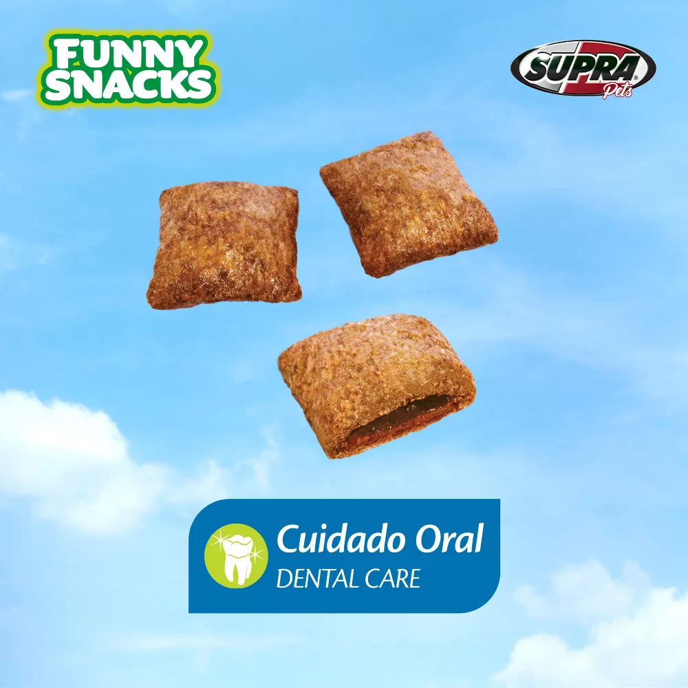 Petisco Nuggets Funny Dog Carne 80g - Imagem 2