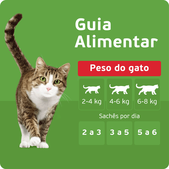 Ração Úmida Sachê KiteKat 70g - Imagem 3