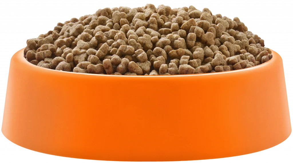Ração Golden Cão Filhote Pequenas Raças - 1kg - Imagem 2