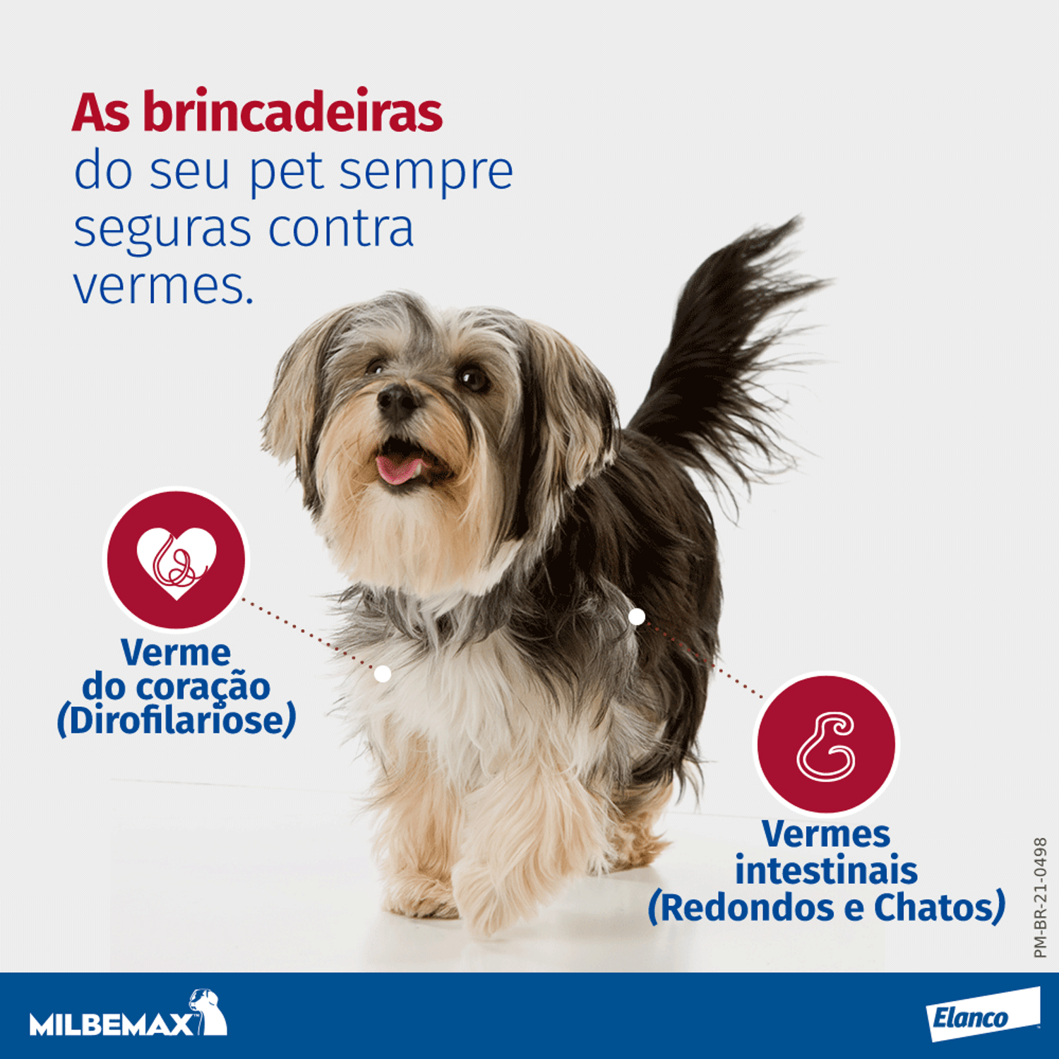 Vermífugo Milbemax C Cães 5 a 25kg - Caixa c/2 comprimidos - Imagem 2
