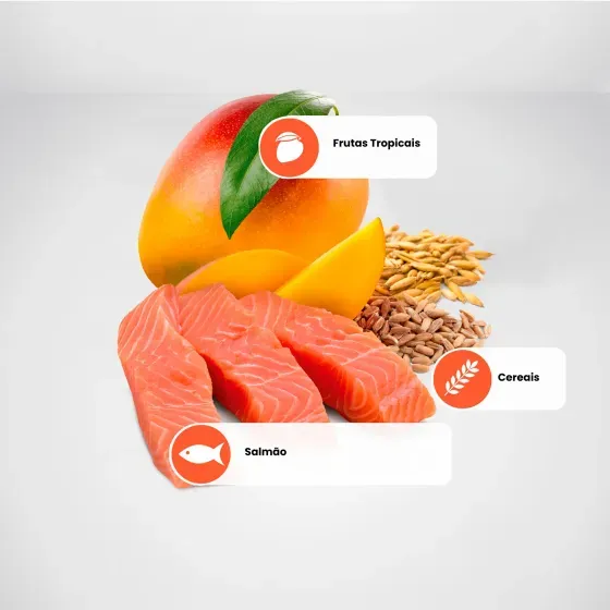 Ração N&D Tropical Selection Cães Adultos Raças Pequenas Salmão 2 kg - Imagem 3